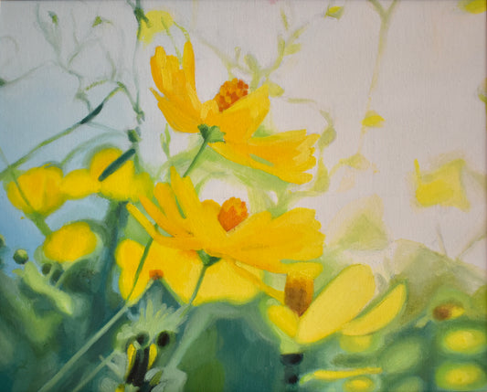 Yellow morning